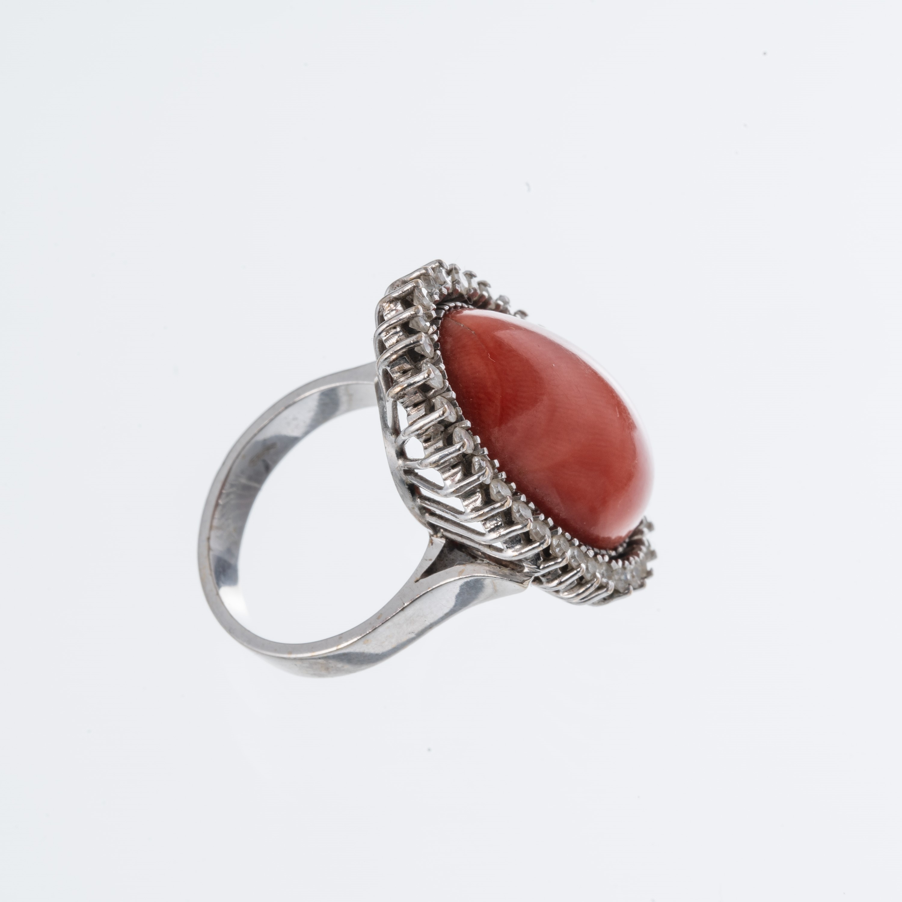 Oro bianco 18 kt, Anello con corallo e contorno di diamanti