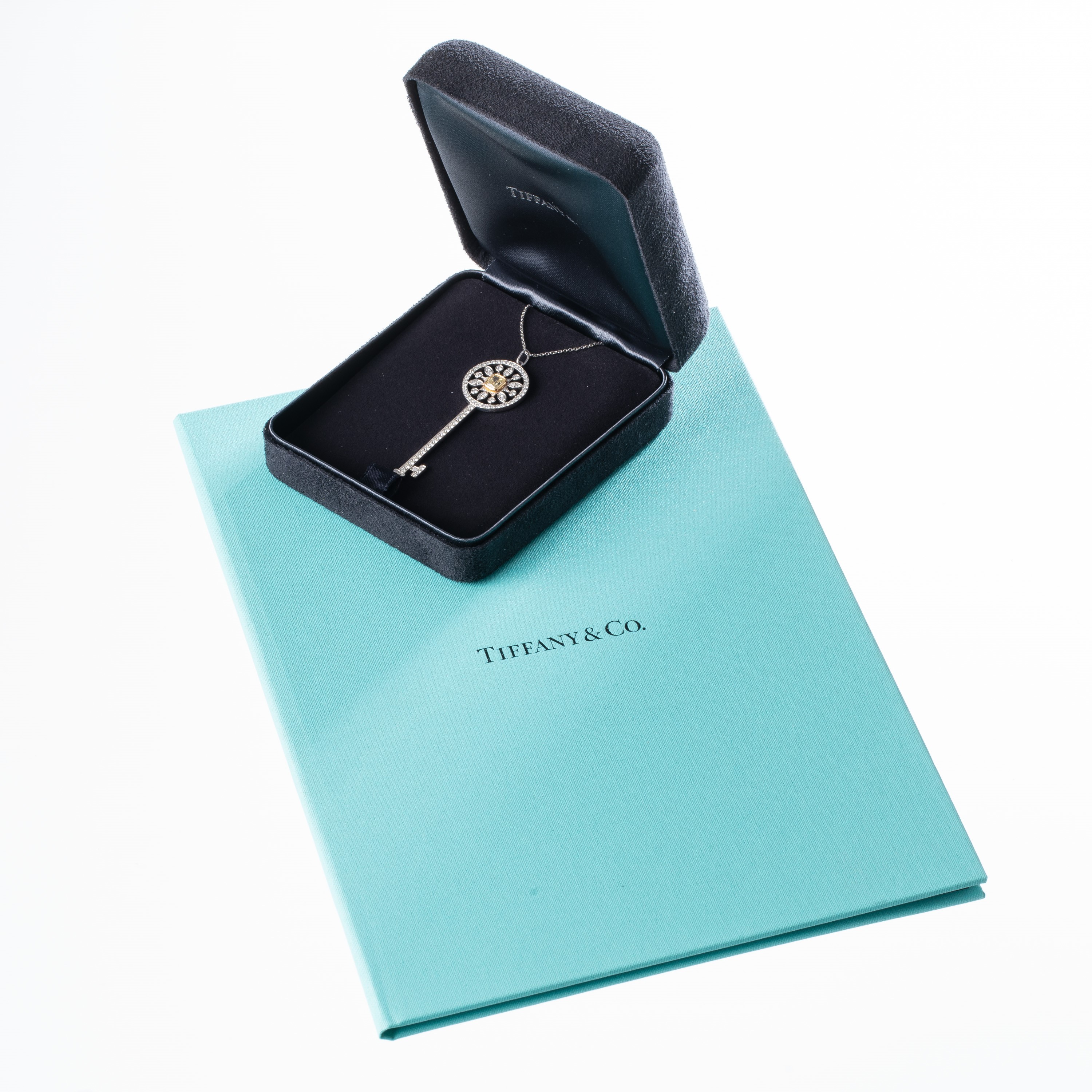 Tiffany & Co - Collana con chiave in platino e diamanti Cushion