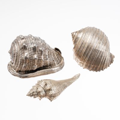 Tre conchiglie rivestite in argento